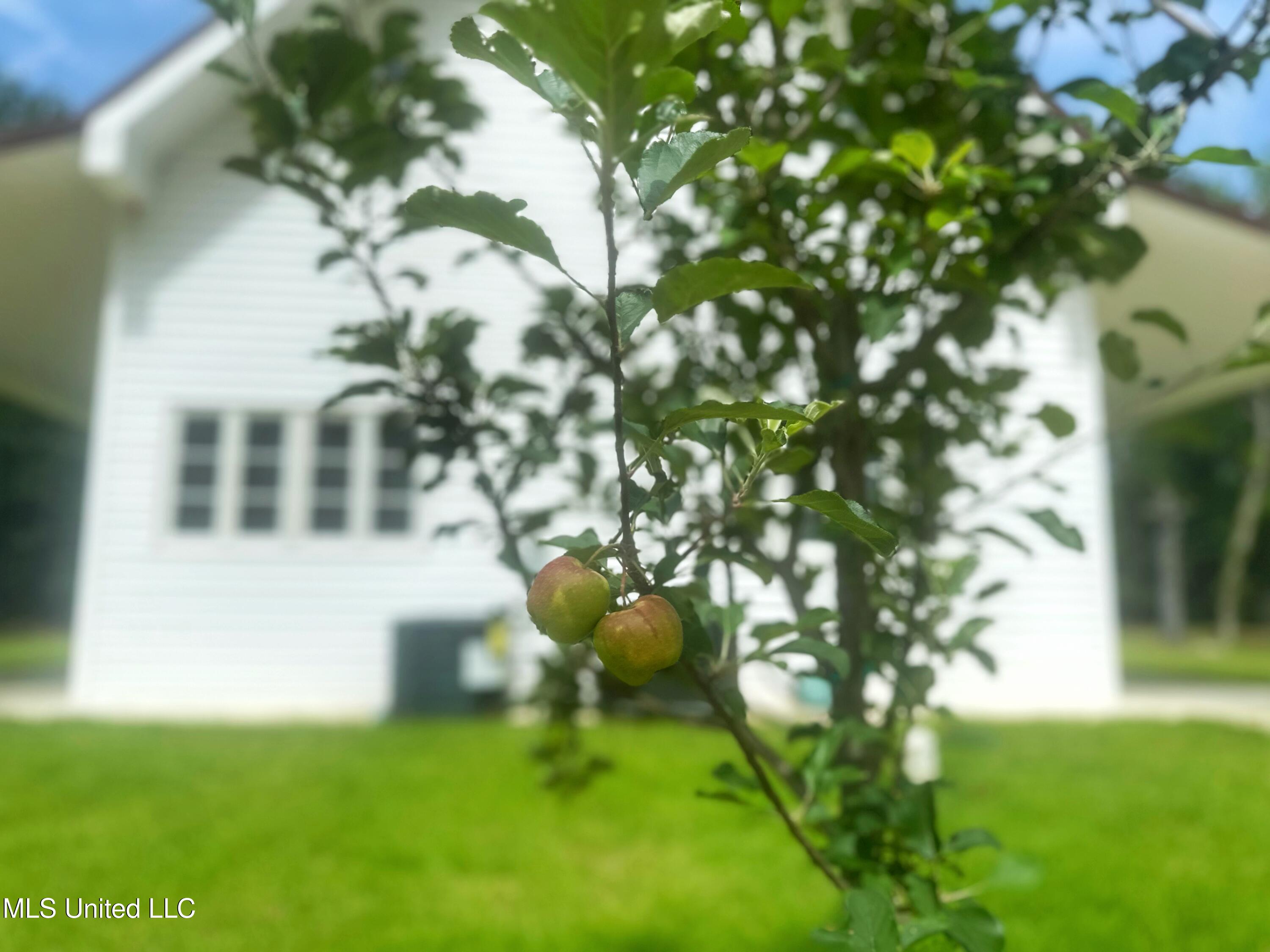 700 Rathell Road Lexington, MS 39095 - Photo 5 of 56 IMG_4165