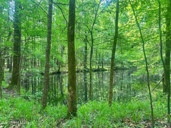 $579,000 | 700 Rathell Road, Lexington, MS 39095