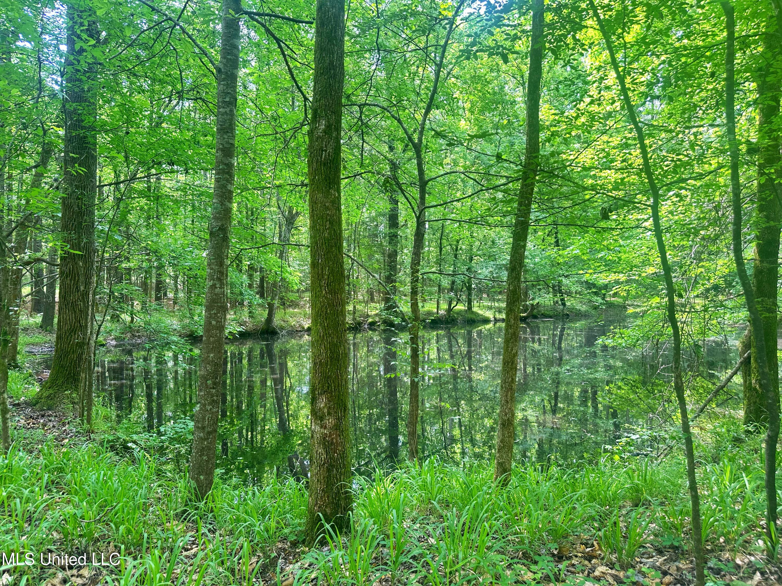 700 Rathell Road Lexington, MS 39095 - Photo 51 of 56 IMG_4139