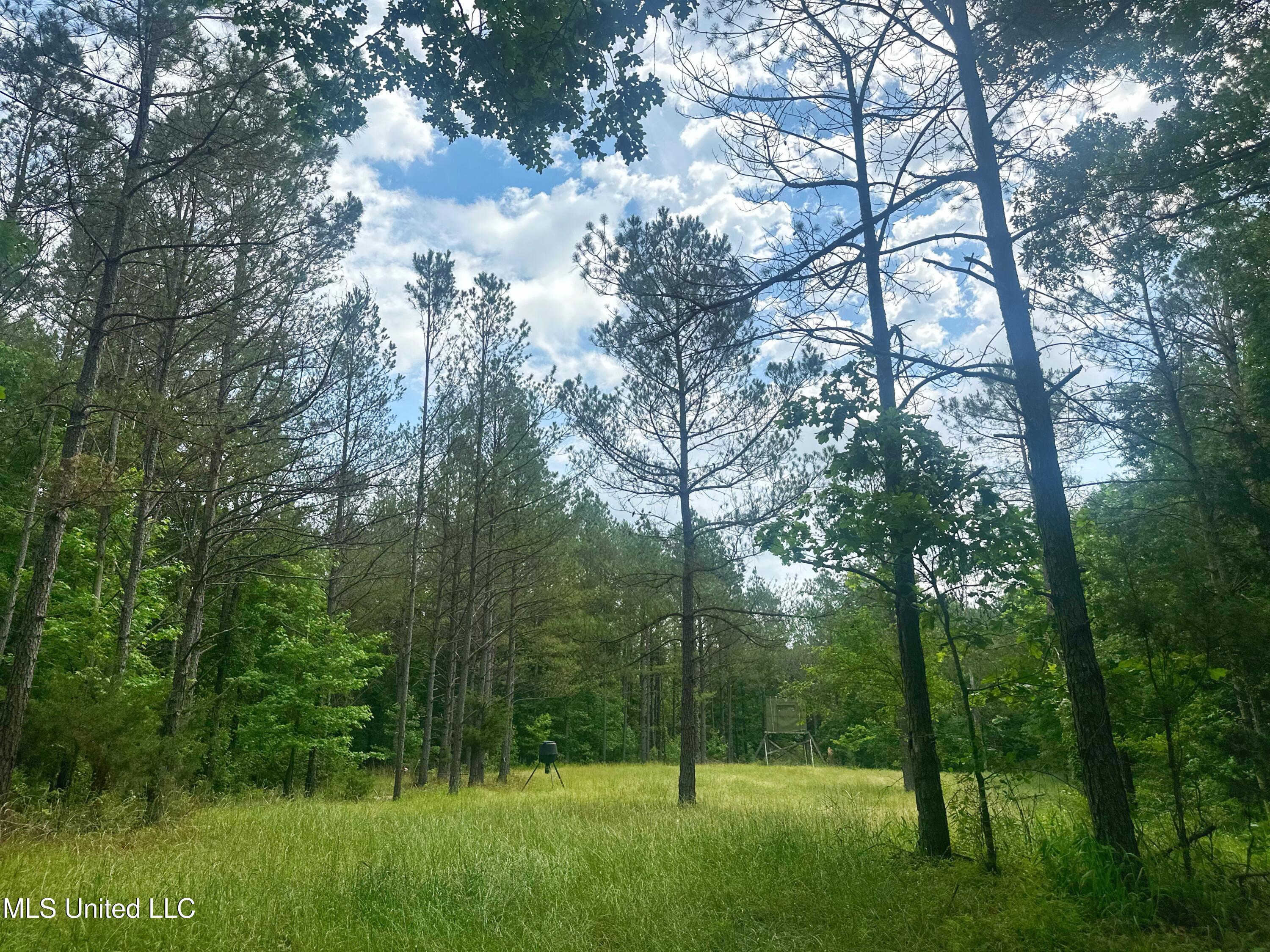 700 Rathell Road Lexington, MS 39095 - Photo 52 of 56 IMG_4143