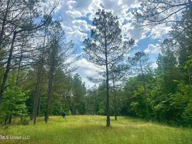 $579,000 | 700 Rathell Road, Lexington, MS 39095