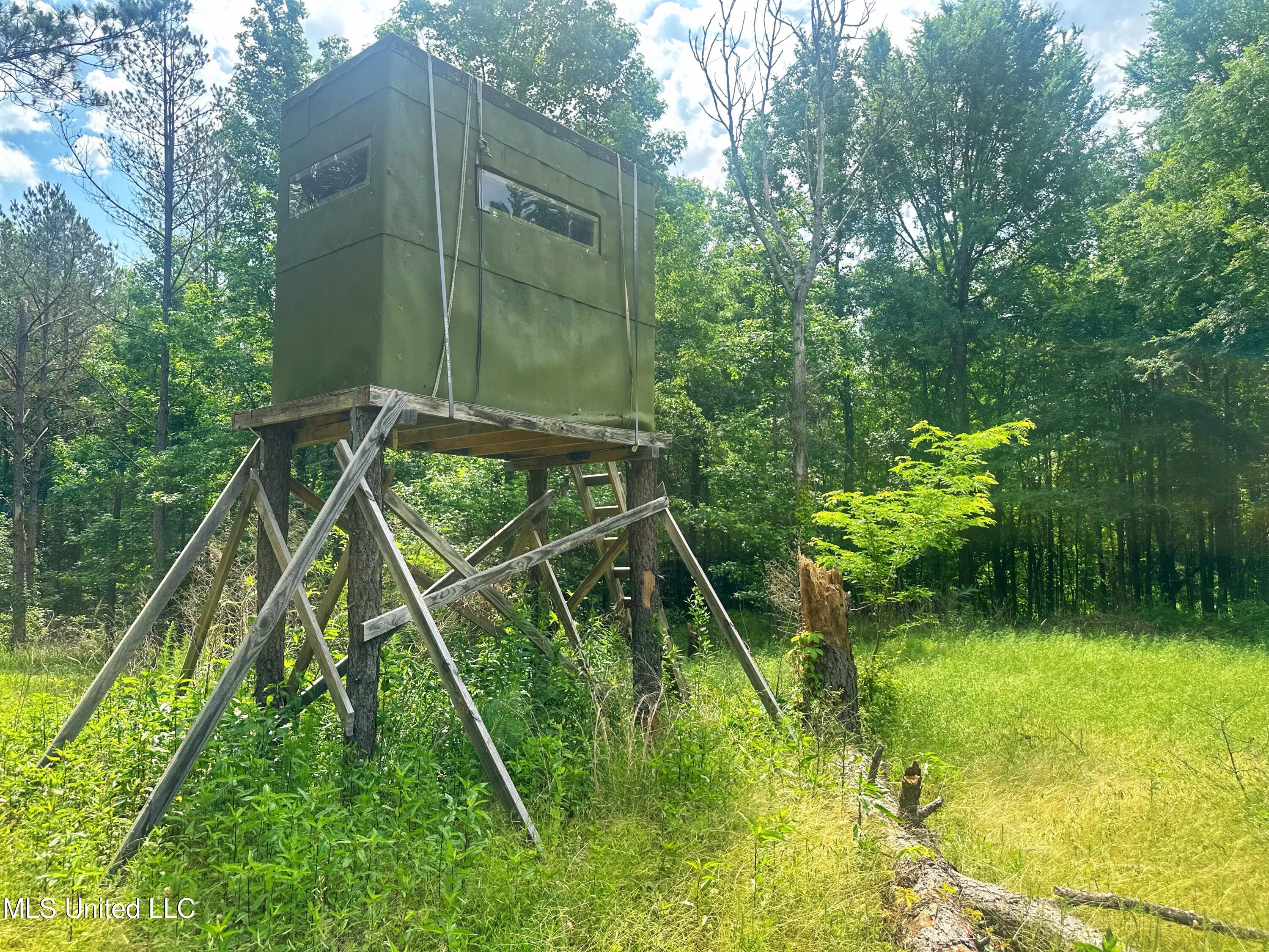 700 Rathell Road Lexington, MS 39095 - Photo 54 of 56 IMG_4147