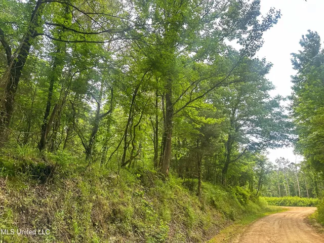 $579,000 | 700 Rathell Road, Lexington, MS 39095