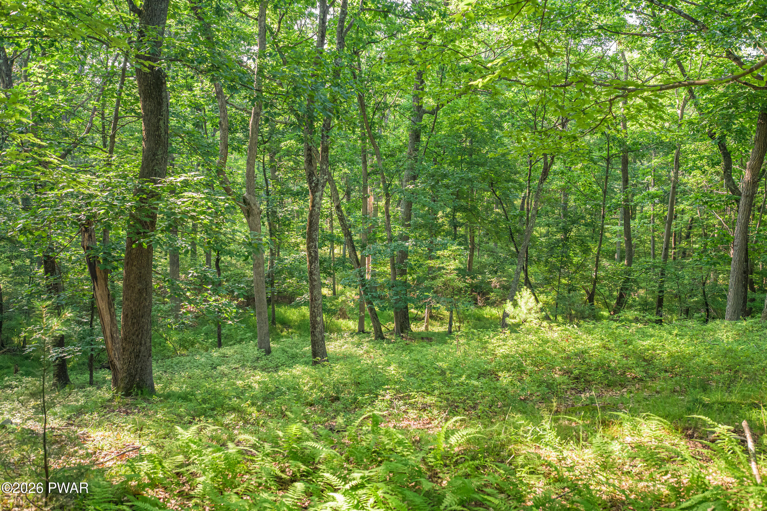 High Ridge Dingmans Ferry, PA 18328 - Photo 38 of 63