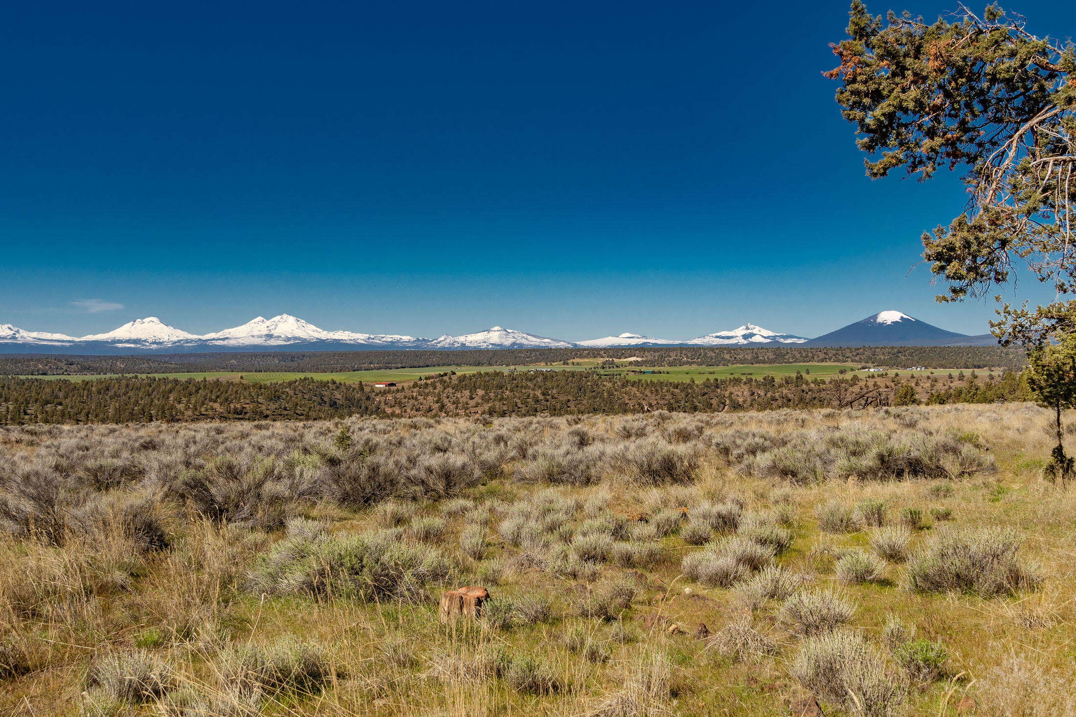 8205 Southwest Sand Ridge Road Terrebonne, OR 97760 - Photo 8 of 57 8205 SW Sand 007 copy