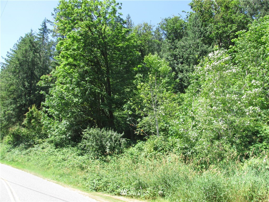 0 Marshall Hill Road Deming, WA 98244 - Photo 1 of 2 Gallery Image 1