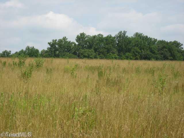 275 Bailey Road Advance, NC 27006 - Photo 5 of 8 Land.