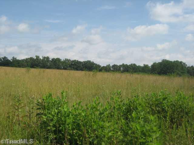 275 Bailey Road Advance, NC 27006 - Photo 7 of 8 Land.