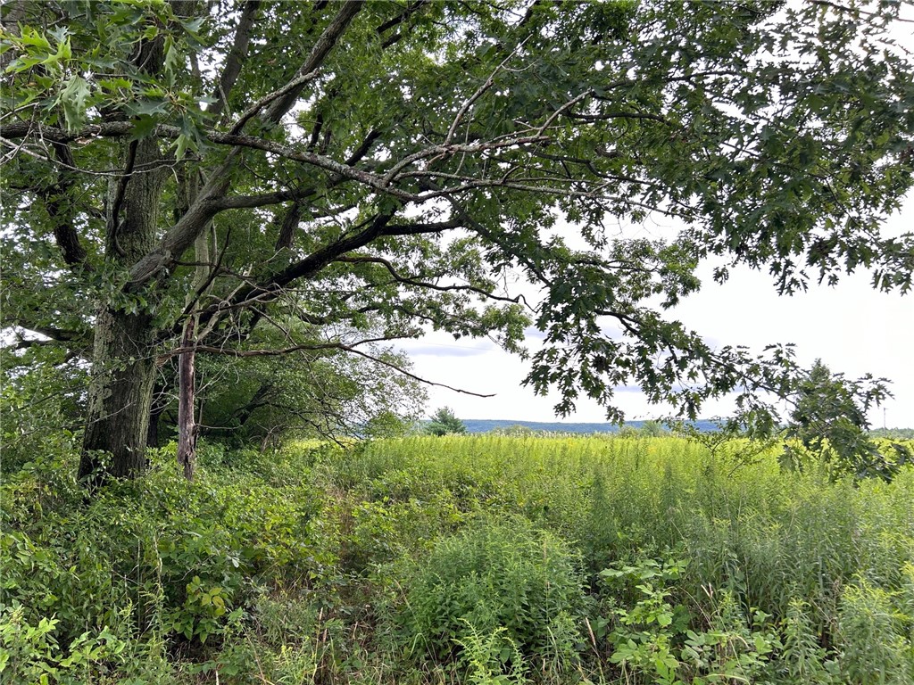 8229 County Rte 74 Prattsburgh, NY 14873 - Photo 1 of 1