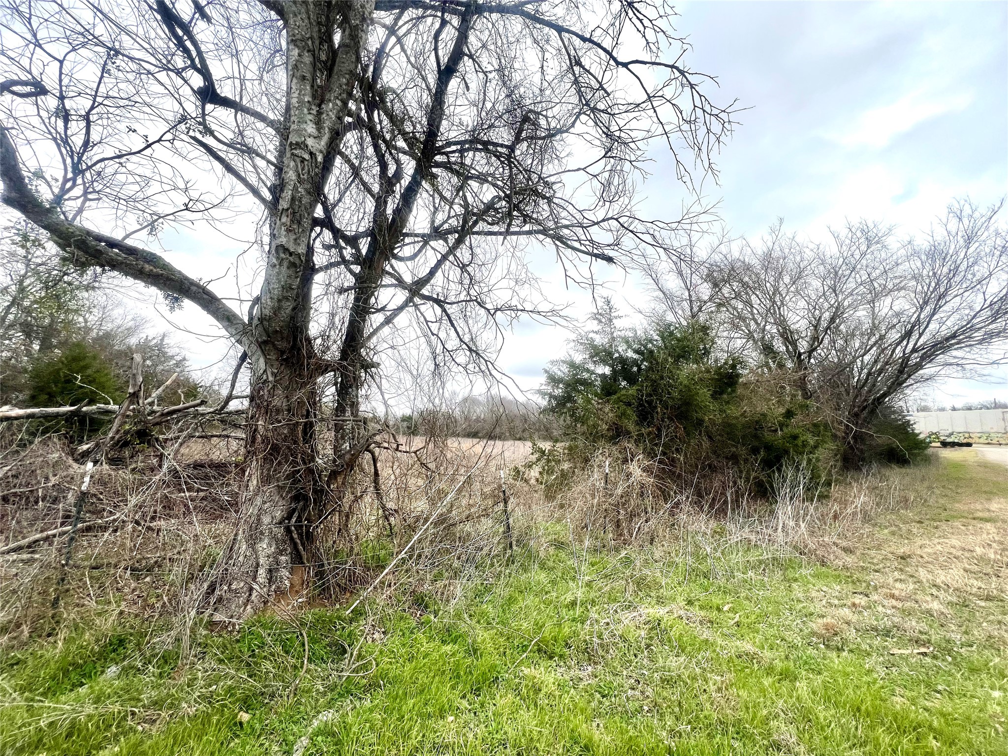 283 County Road Kosse, TX 76653 - Photo 6 of 8