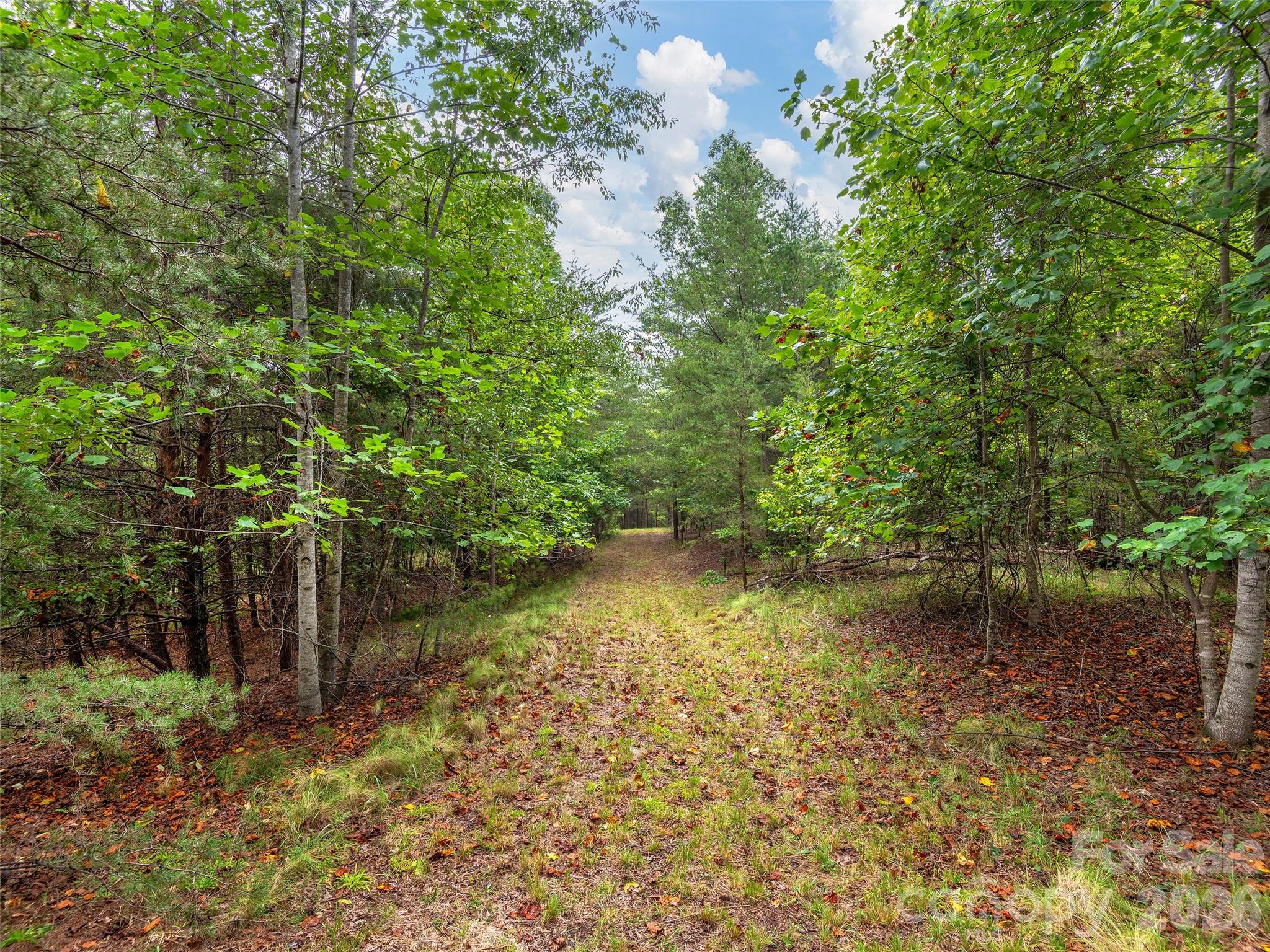 Lot #28 Parkway North Rd Mill Spring, Unit 28 Mill Spring, NC 28756 - Photo 5 of 17