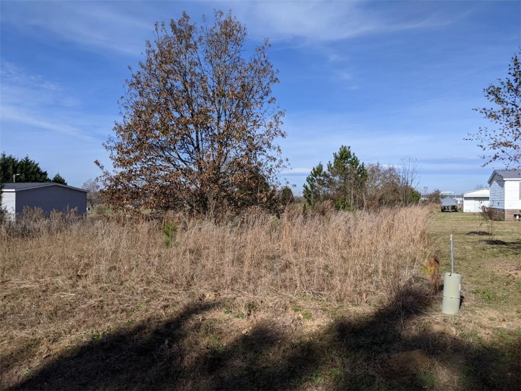 1917 Bethany Church Road Belton, SC 29627 - Photo 1 of 9
