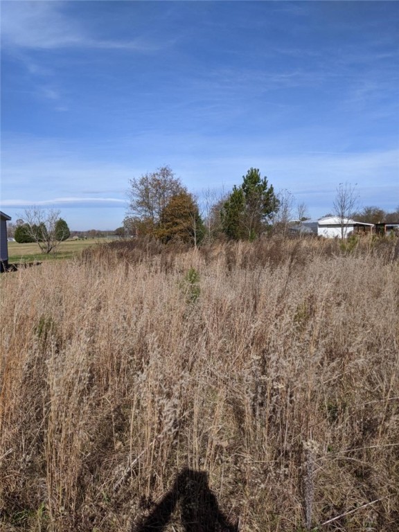 1917 Bethany Church Road Belton, SC 29627 - Photo 2 of 9