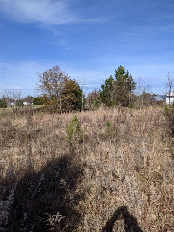 1917 Bethany Church Road Belton, SC 29627 - Photo 3 of 9
