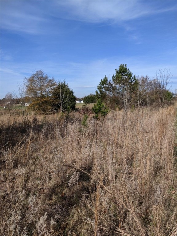 1917 Bethany Church Road Belton, SC 29627 - Photo 4 of 9