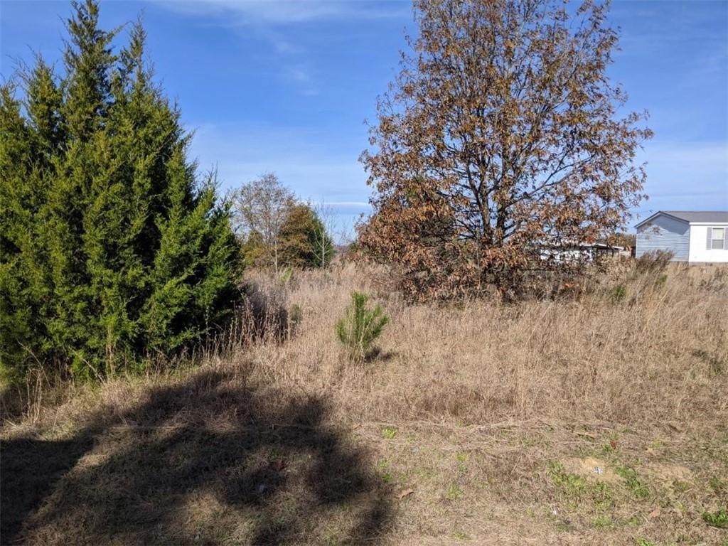 1917 Bethany Church Road Belton, SC 29627 - Photo 5 of 9