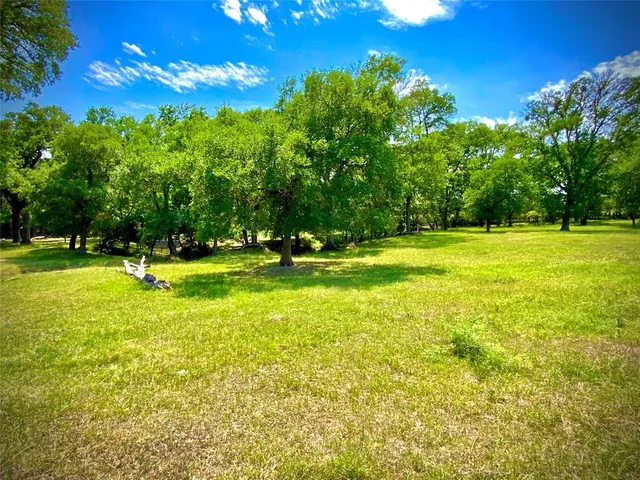 a view of outdoor space with trees all around