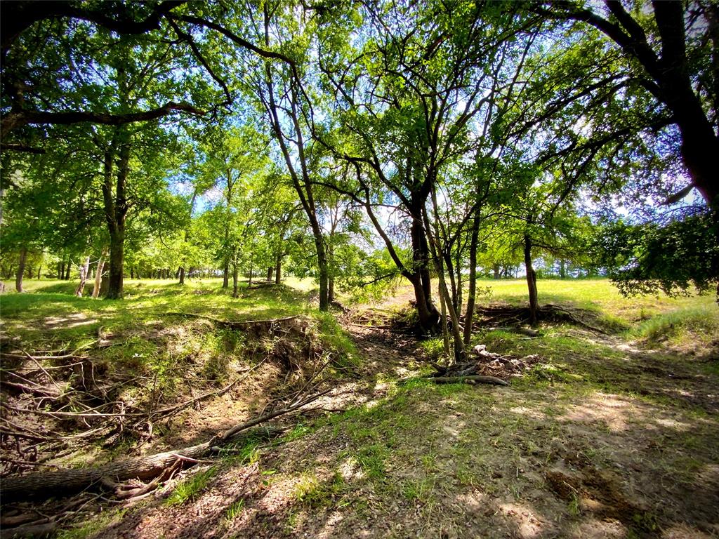 1 Fm 147 Marlin, TX 76661 - Photo 16 of 19 a view of outdoor space with trees all around
