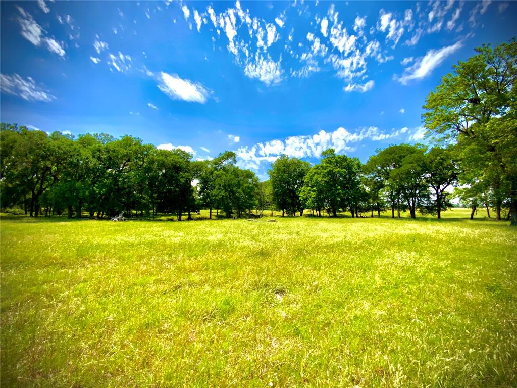 1 Fm 147 Marlin, TX 76661 - Photo 2 of 19 a view of outdoor space yard and patio