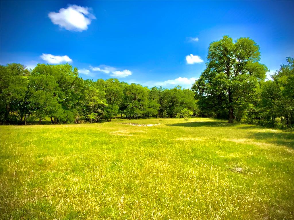 1 Fm 147 Marlin, TX 76661 - Photo 5 of 19