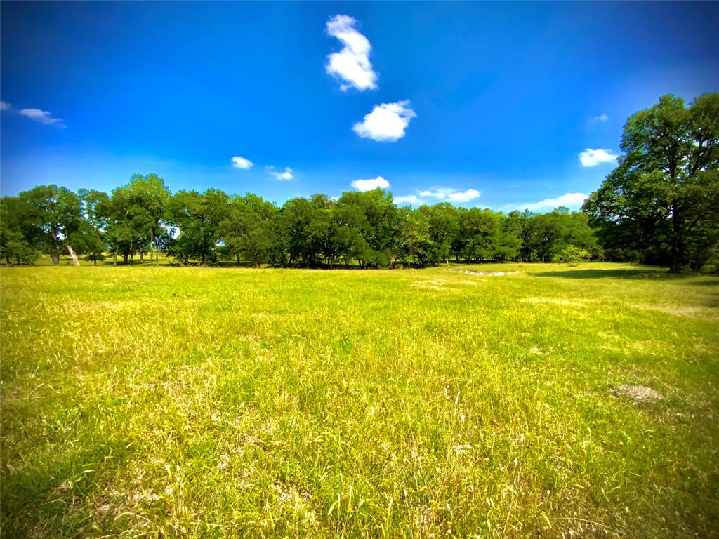 1 Fm 147 Marlin, TX 76661 - Photo 6 of 19 a view of yard with swimming pool and outdoor seating