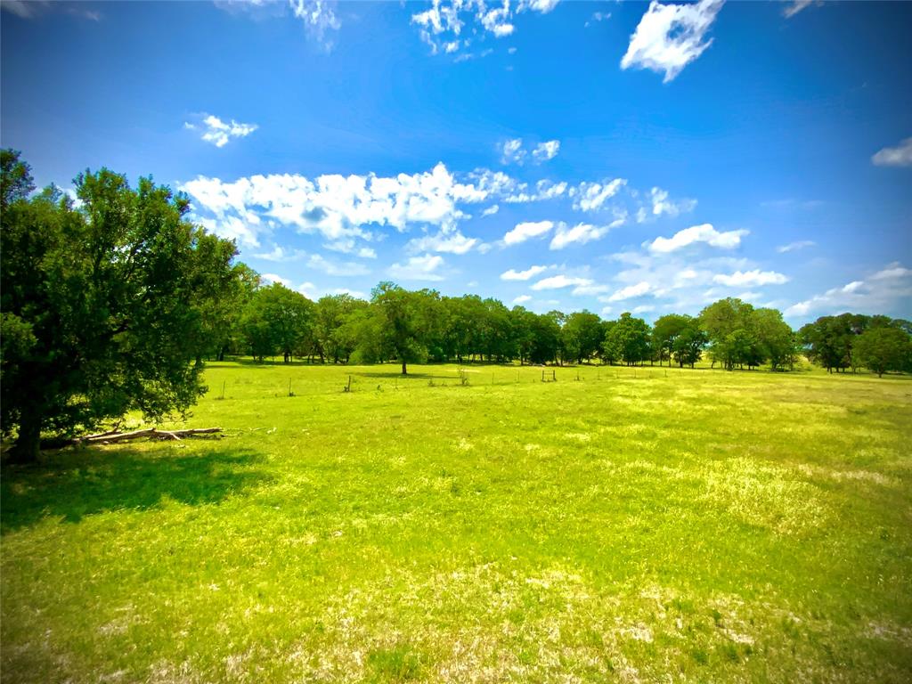 1 Fm 147 Marlin, TX 76661 - Photo 7 of 19