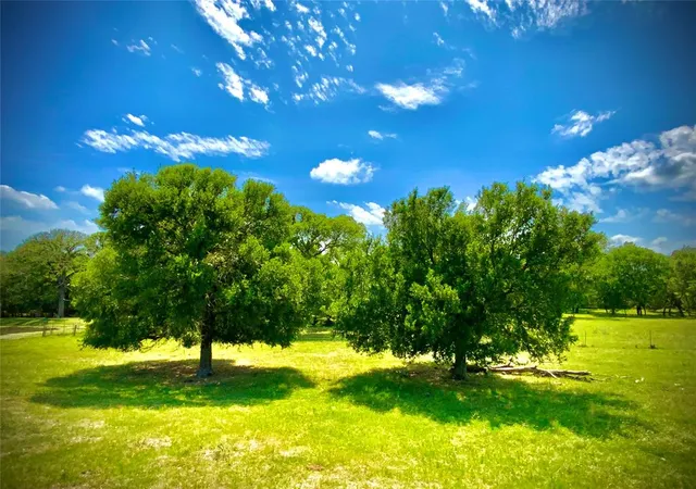 a view of an ocean from a yard