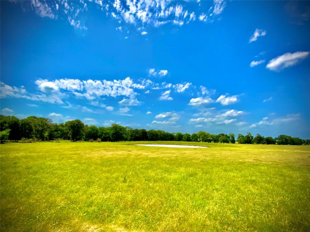 1 Fm 147 Marlin, TX 76661 - Photo 9 of 19 a view of a lake and green space