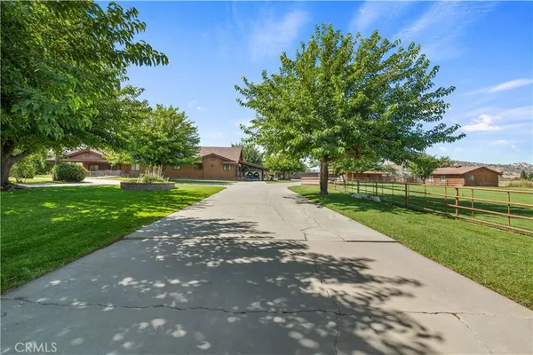 a view of a park with plants and trees