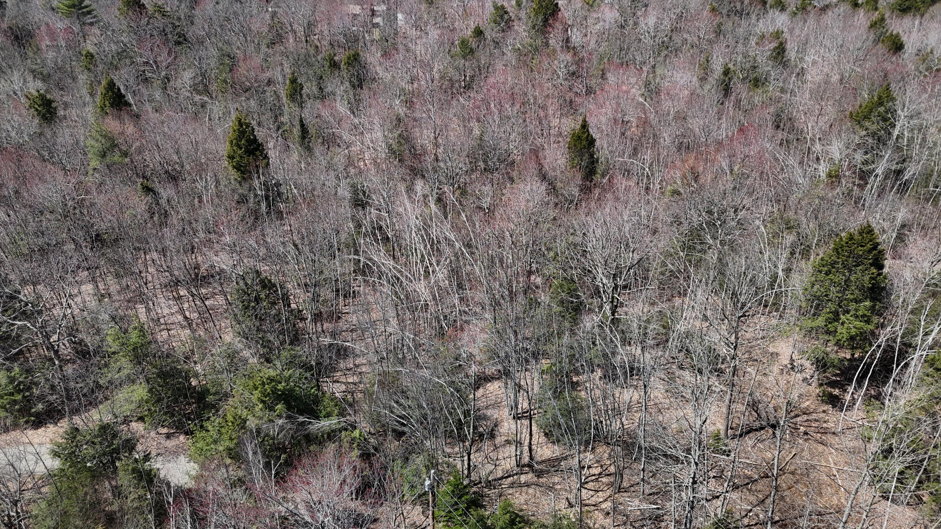 Lot 21 Johnson Road Greene, ME 04236 - Photo 16 of 18 DJI_20240423002741_0003_D