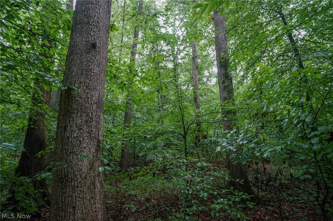 Duncanson Road Sardinia, OH 45171 - Photo 41 of 50 Gallery Image 41
