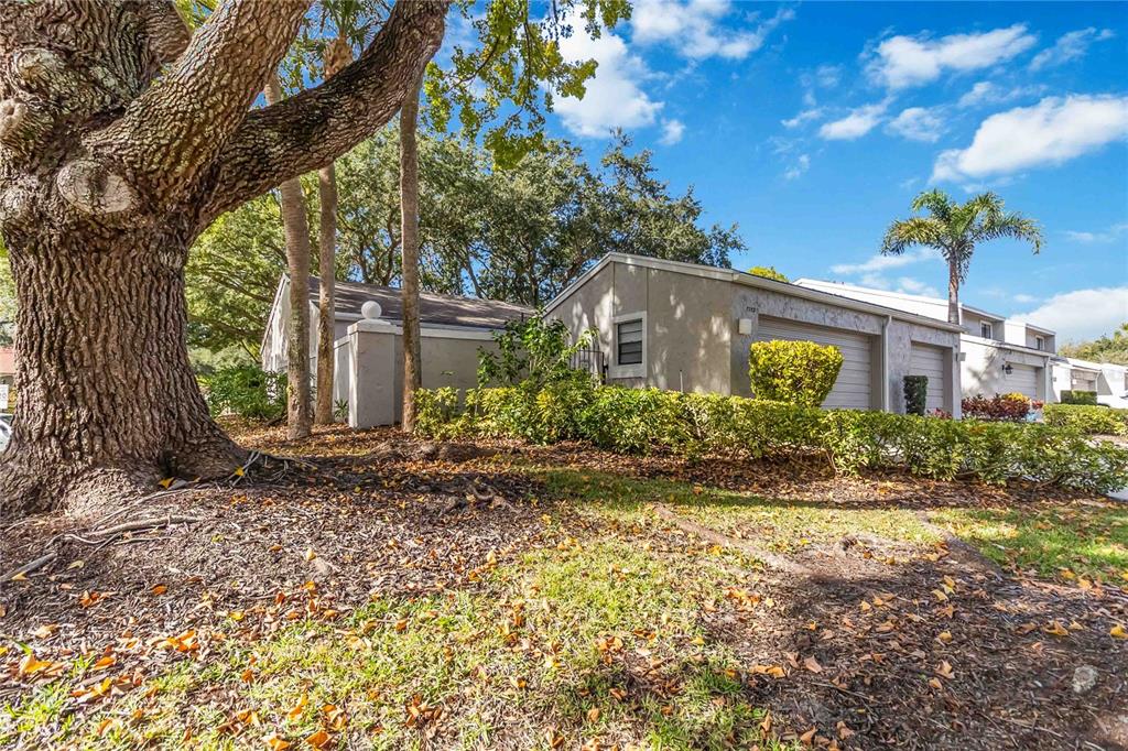 7752 High Pine Road Orlando, FL 32819 - Photo 41 of 59