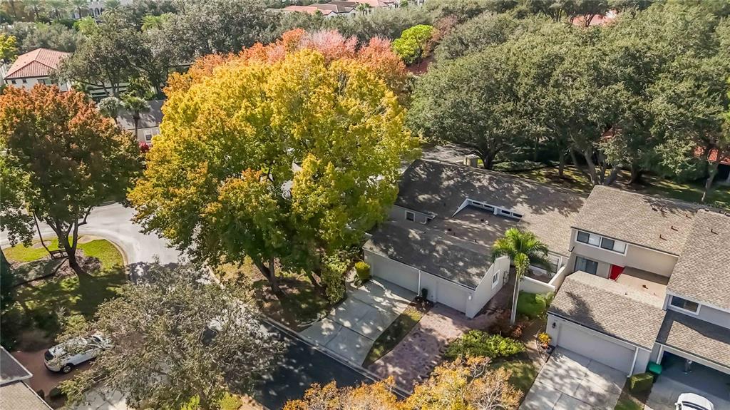 7752 High Pine Road Orlando, FL 32819 - Photo 53 of 59