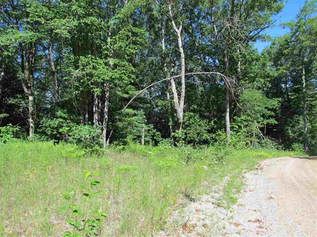 Club Road Indian River, MI 49749 - Photo 5 of 5 Gallery Image 5
