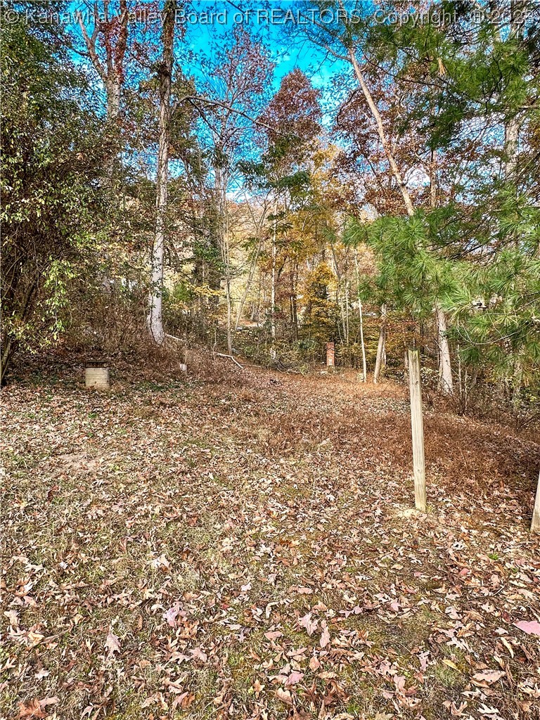 1652 Thunder Road Chapmanville, WV 25508 - Photo 25 of 31 Gallery Image 25
