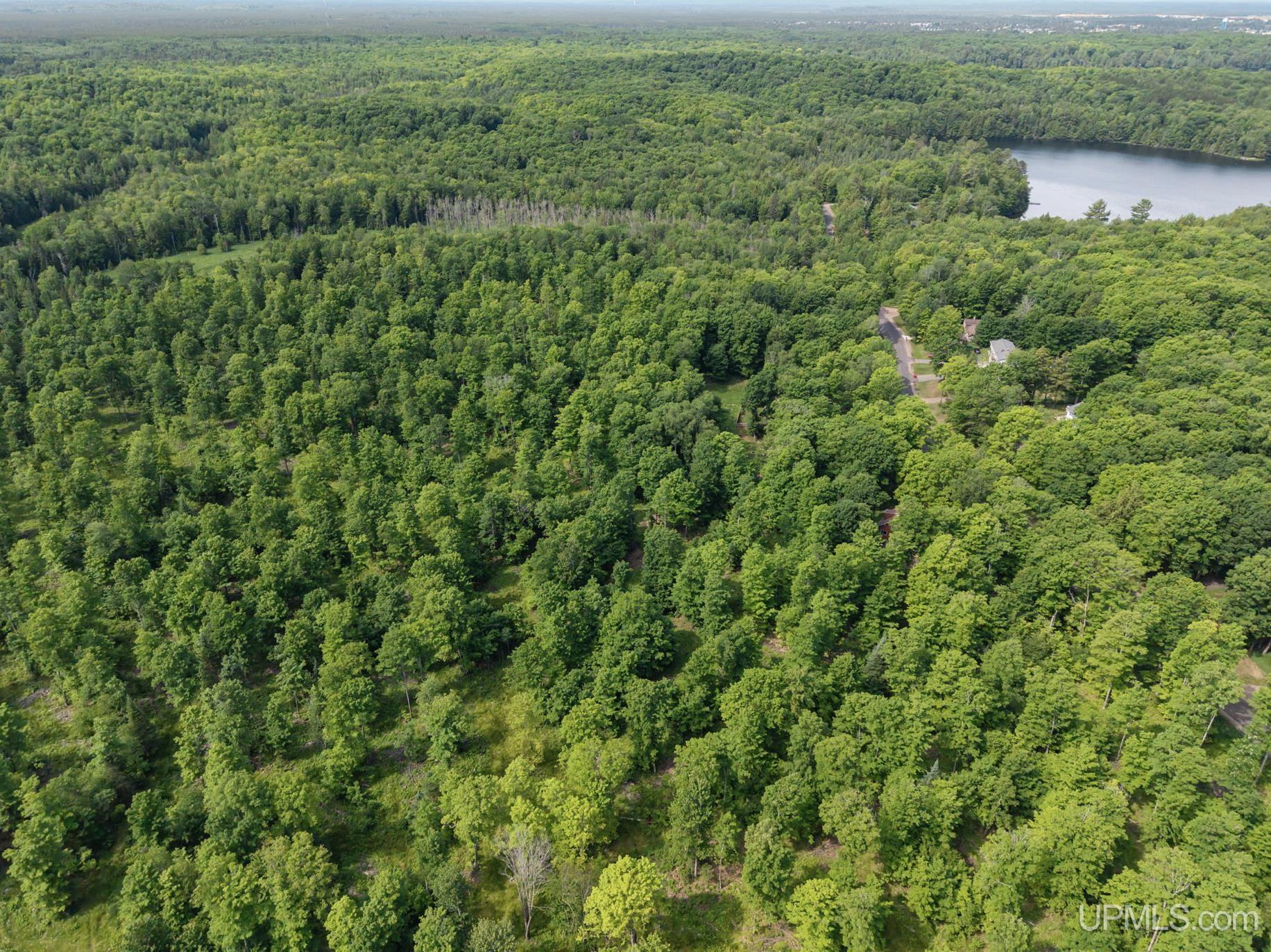 1658 Engman Lake Road Skandia, MI 49885 - Photo 35 of 50