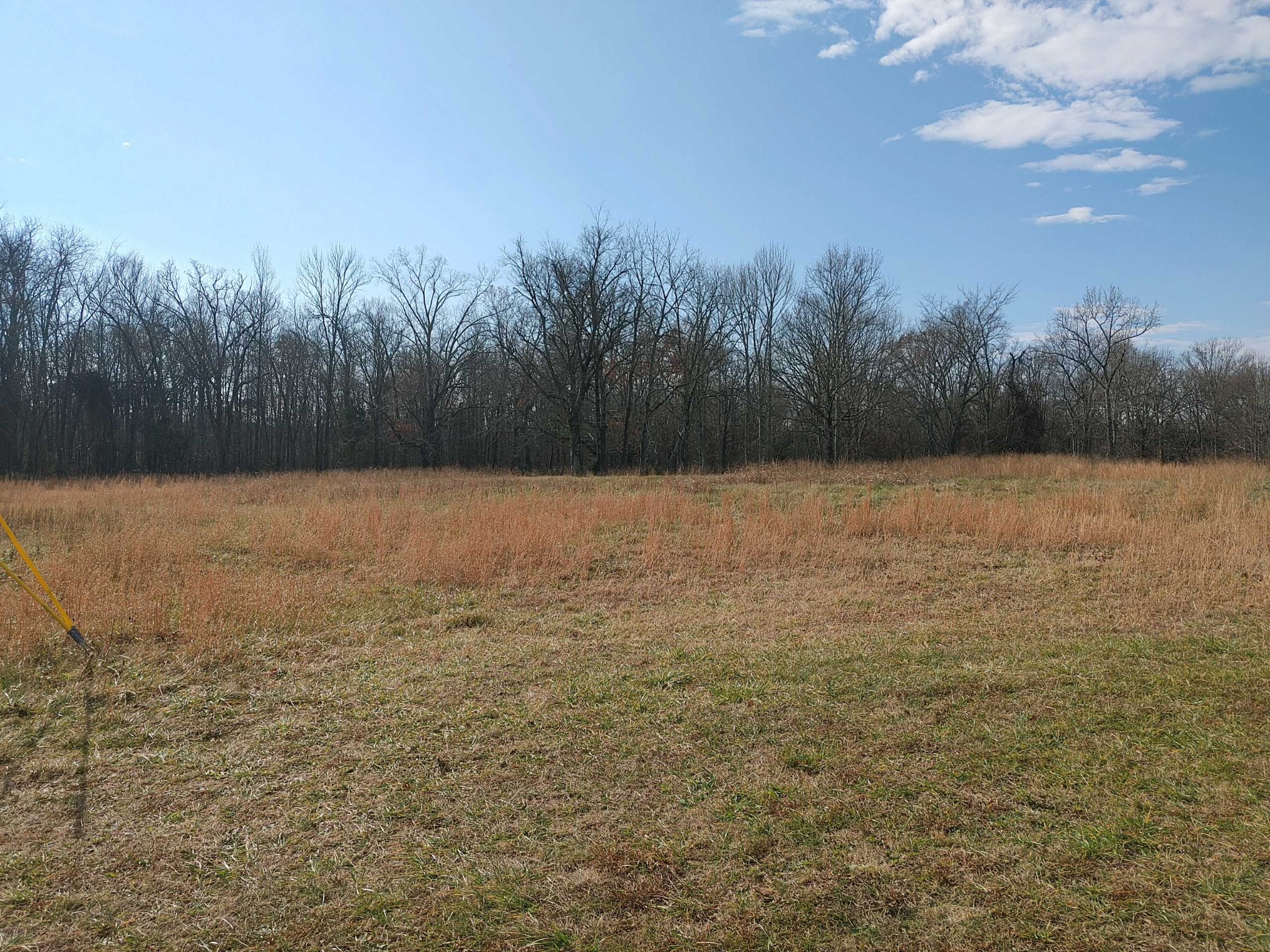 1 Newtown Road North Rockvale, TN 37153 - Photo 1 of 7 a view of patio with trees