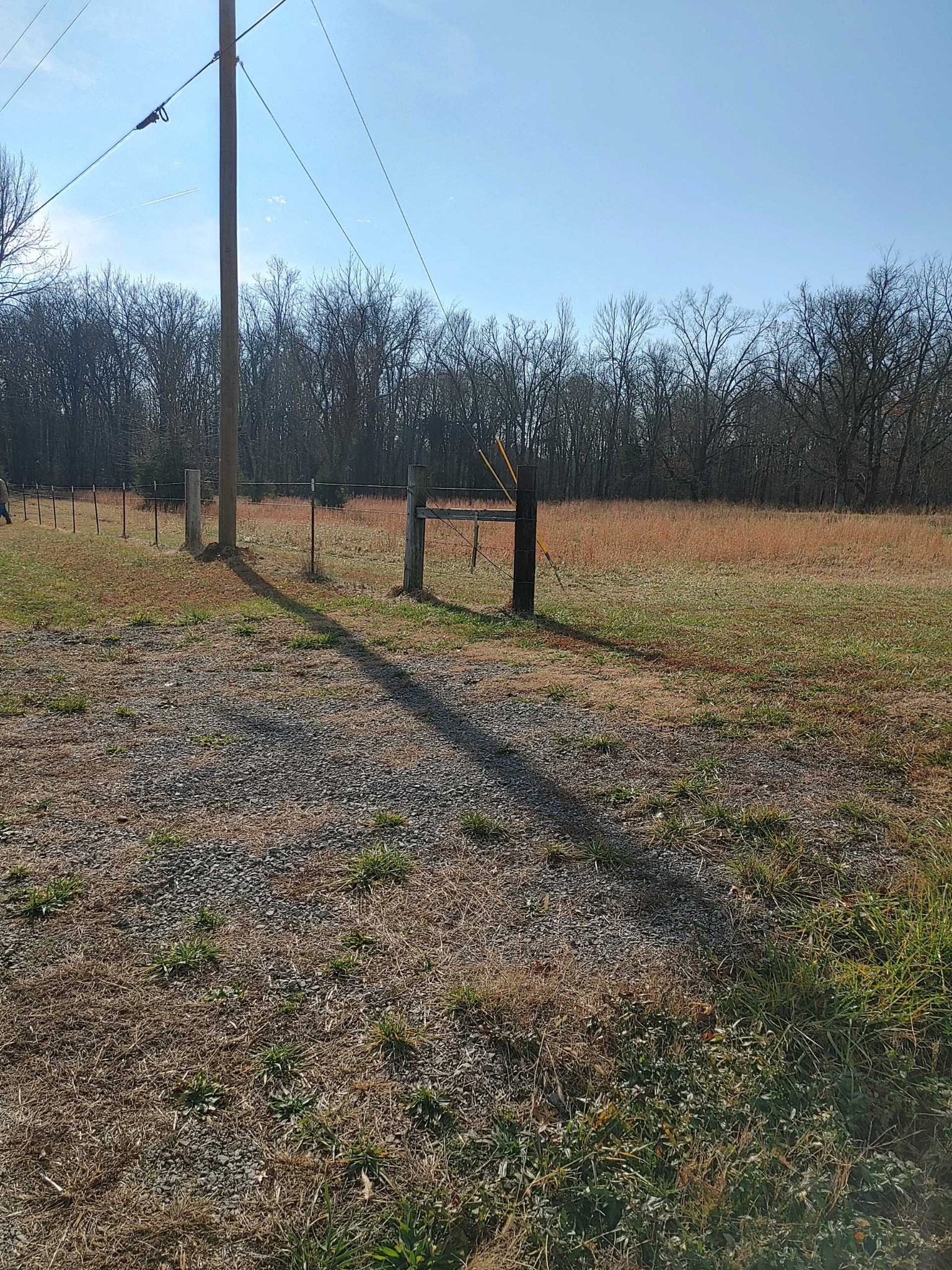 1 Newtown Road North Rockvale, TN 37153 - Photo 5 of 7 a view of a yard with a slide