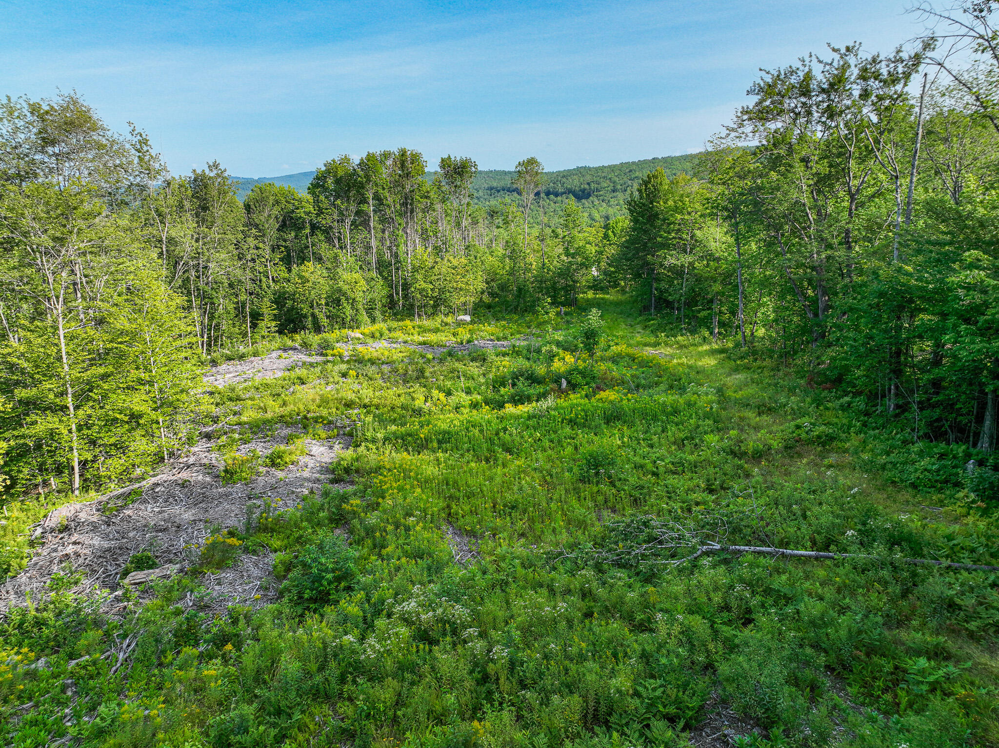 0 Swain Road Rumford, ME 04276 - Photo 2 of 19