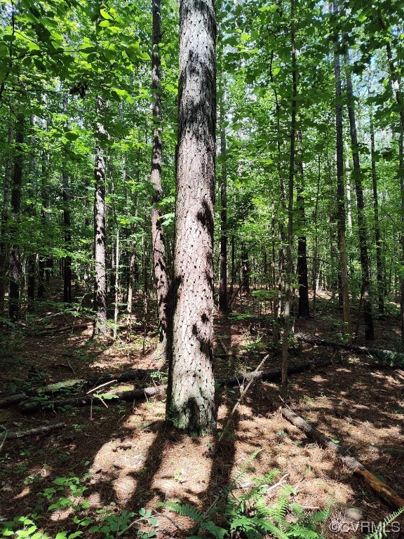 N/a The Grove Road Blackstone, VA 23824 - Photo 13 of 50 Gallery Image 13