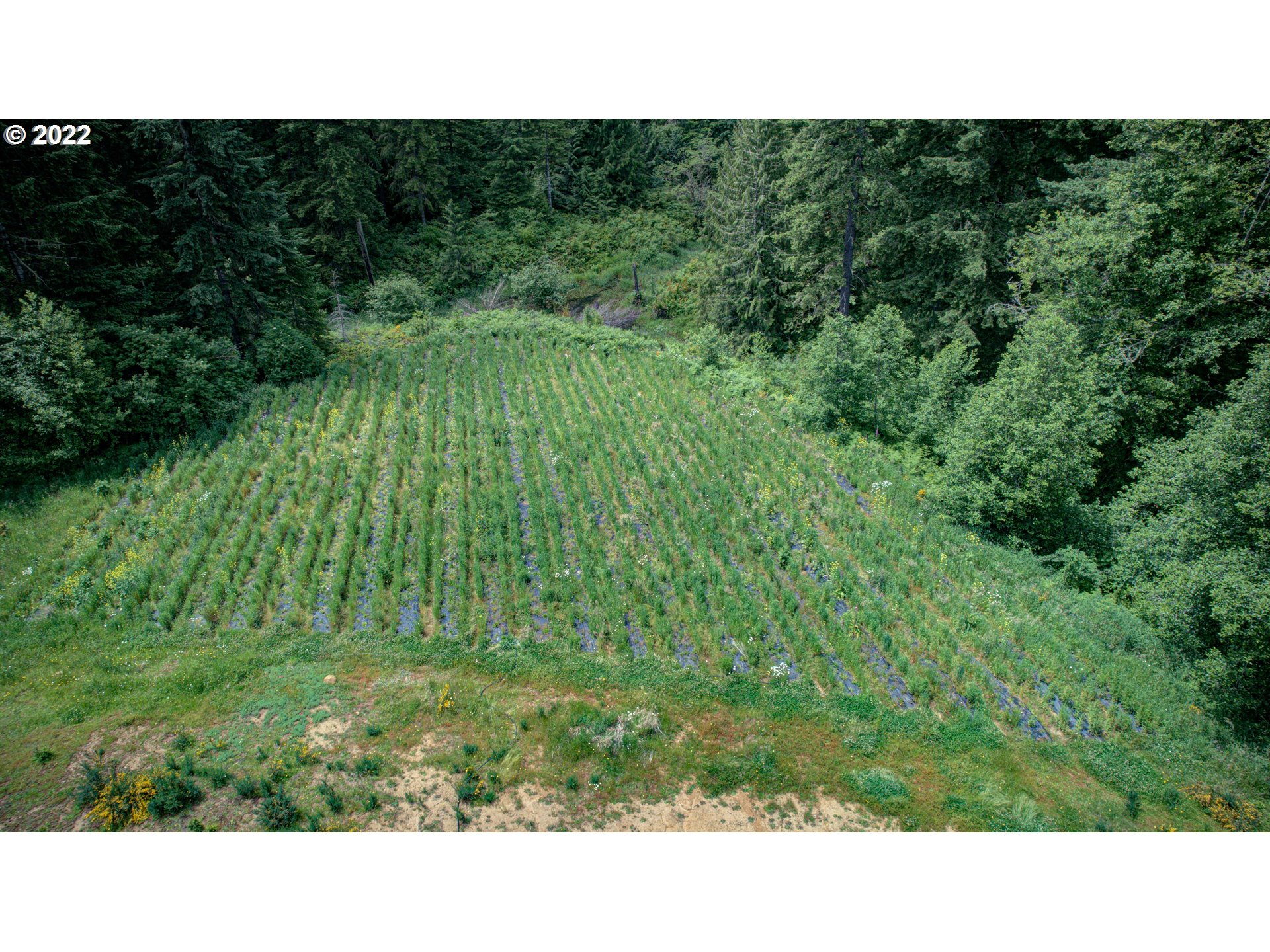 31930 Northwest Smoke Ranch Road Scappoose, OR 97056 - Photo 28 of 32 Gallery Image 28