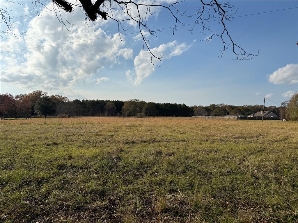 0 Cassandra Road Pineville, LA 71360 - Photo 2 of 3