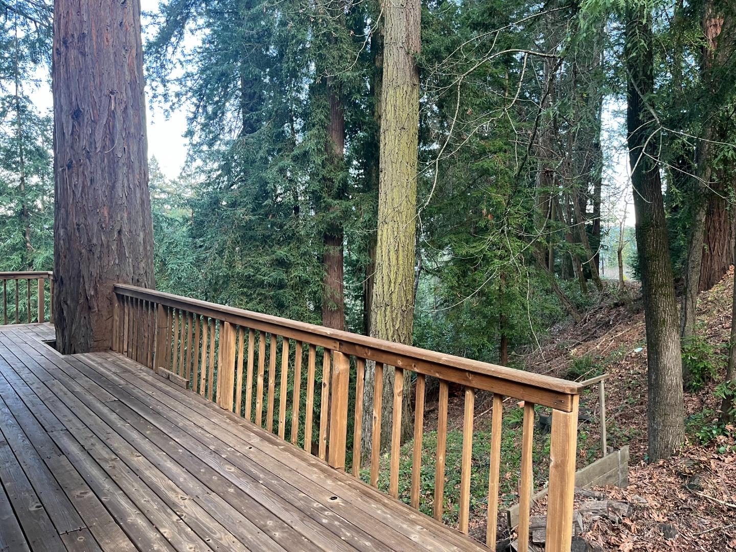 18165 Santa Ana Road Los Gatos, CA 95033 - Photo 3 of 14