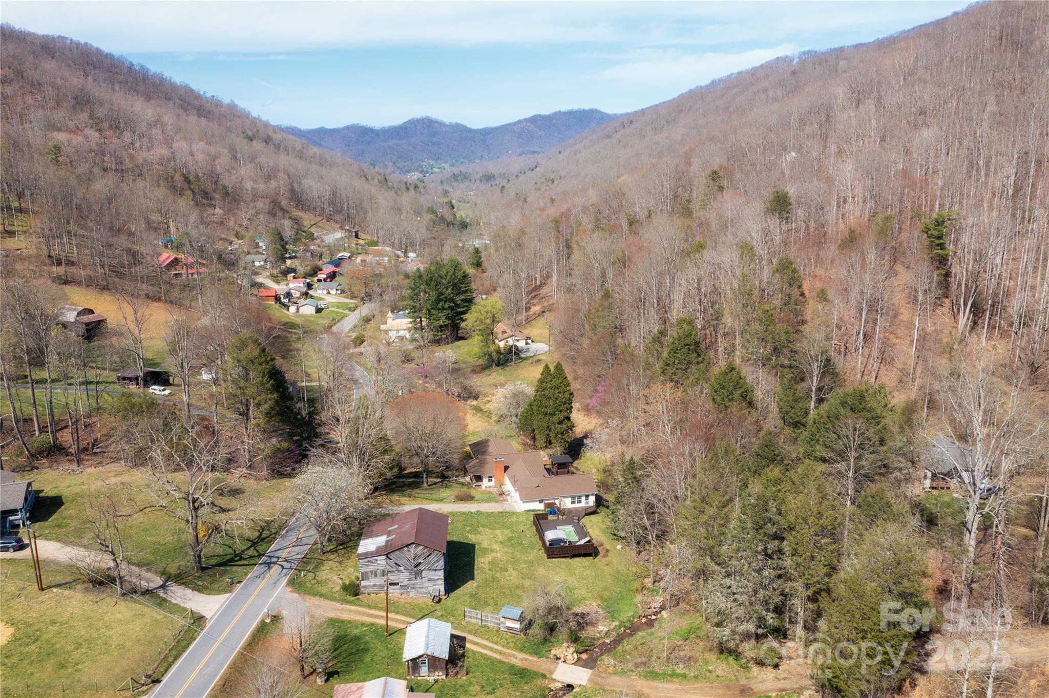 492 Paint Fork Road Barnardsville, NC 28709 - Photo 4 of 42