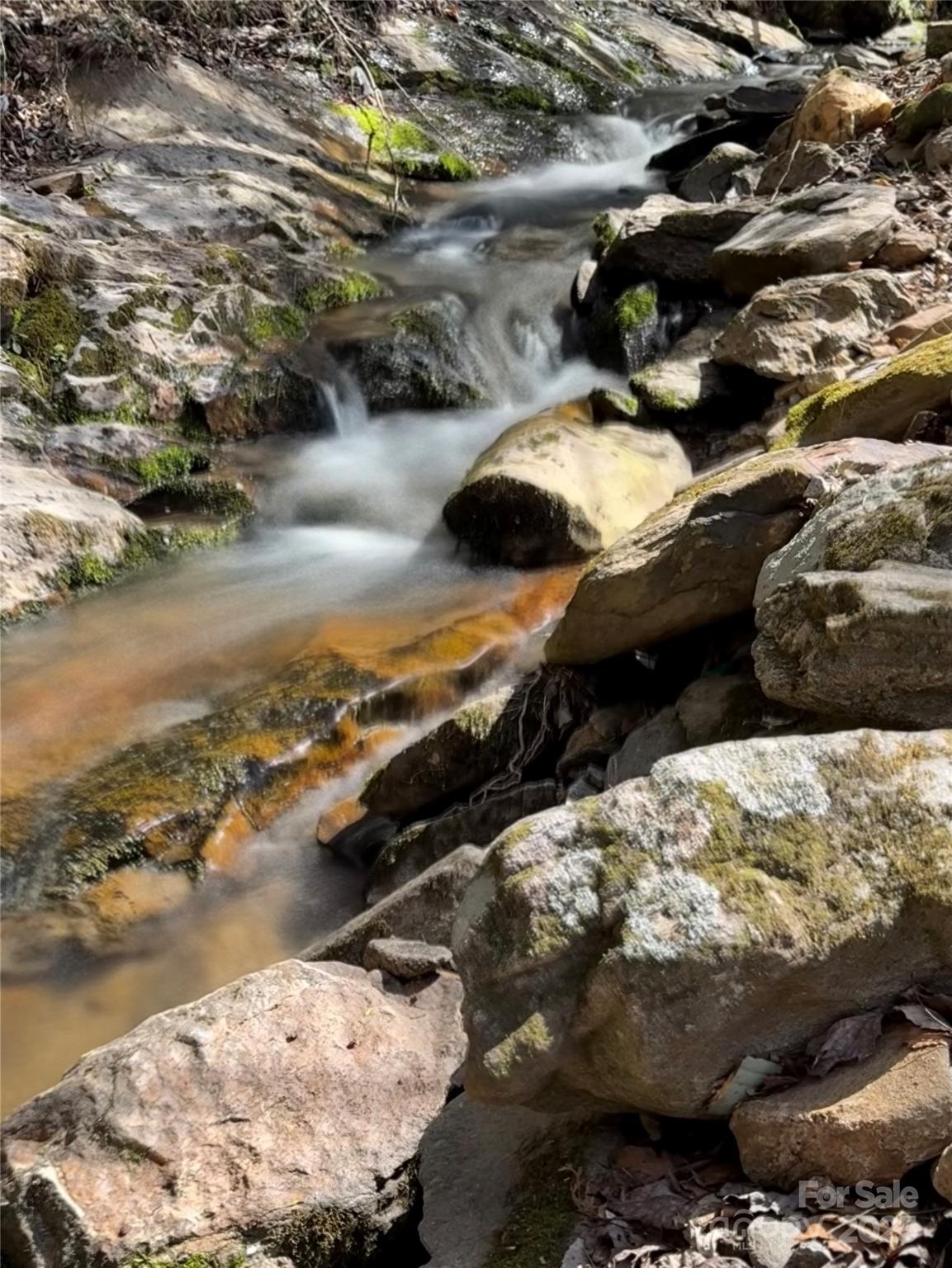 492 Paint Fork Road Barnardsville, NC 28709 - Photo 41 of 42