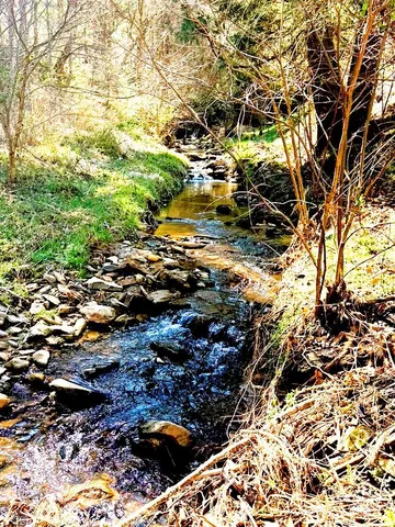 $615,000 | 492 Paint Fork Road, Barnardsville, NC 28709