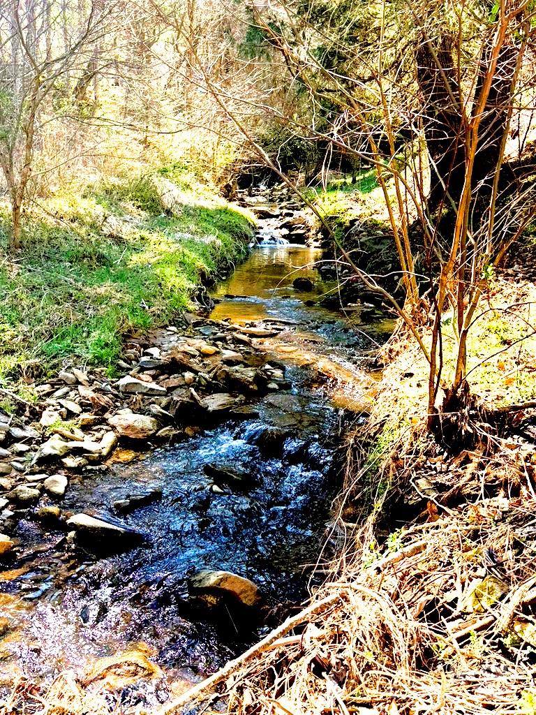 492 Paint Fork Road Barnardsville, NC 28709 - Photo 42 of 42