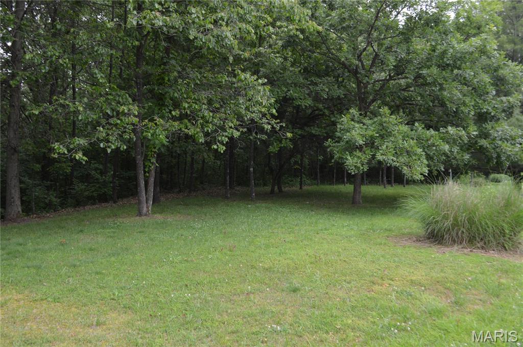 772 Mound Road Festus, MO 63028 - Photo 3 of 5