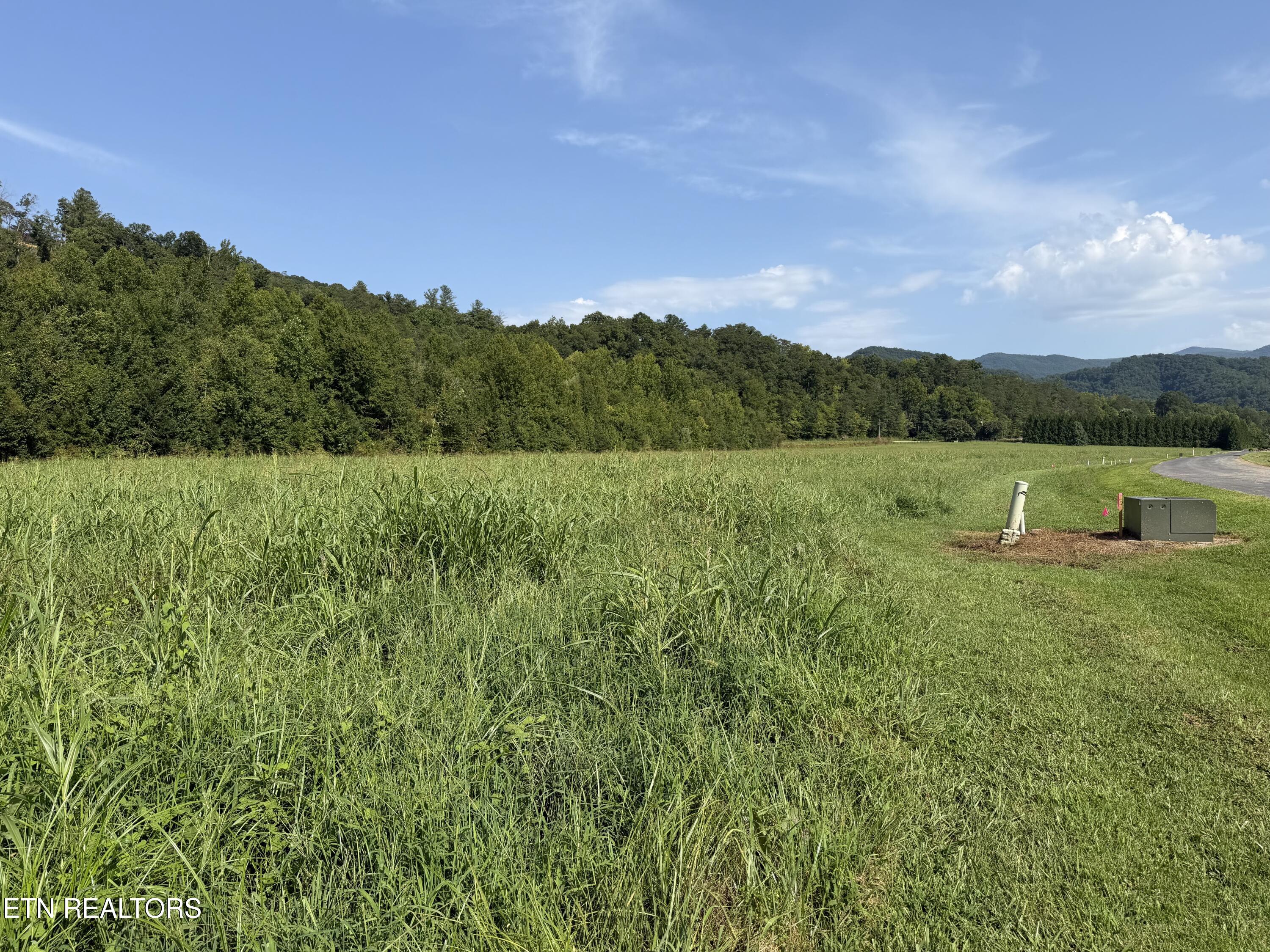 Lot 147 River Rpds Way Del Rio, TN 37727 - Photo 3 of 22 3 Adjoining Properties