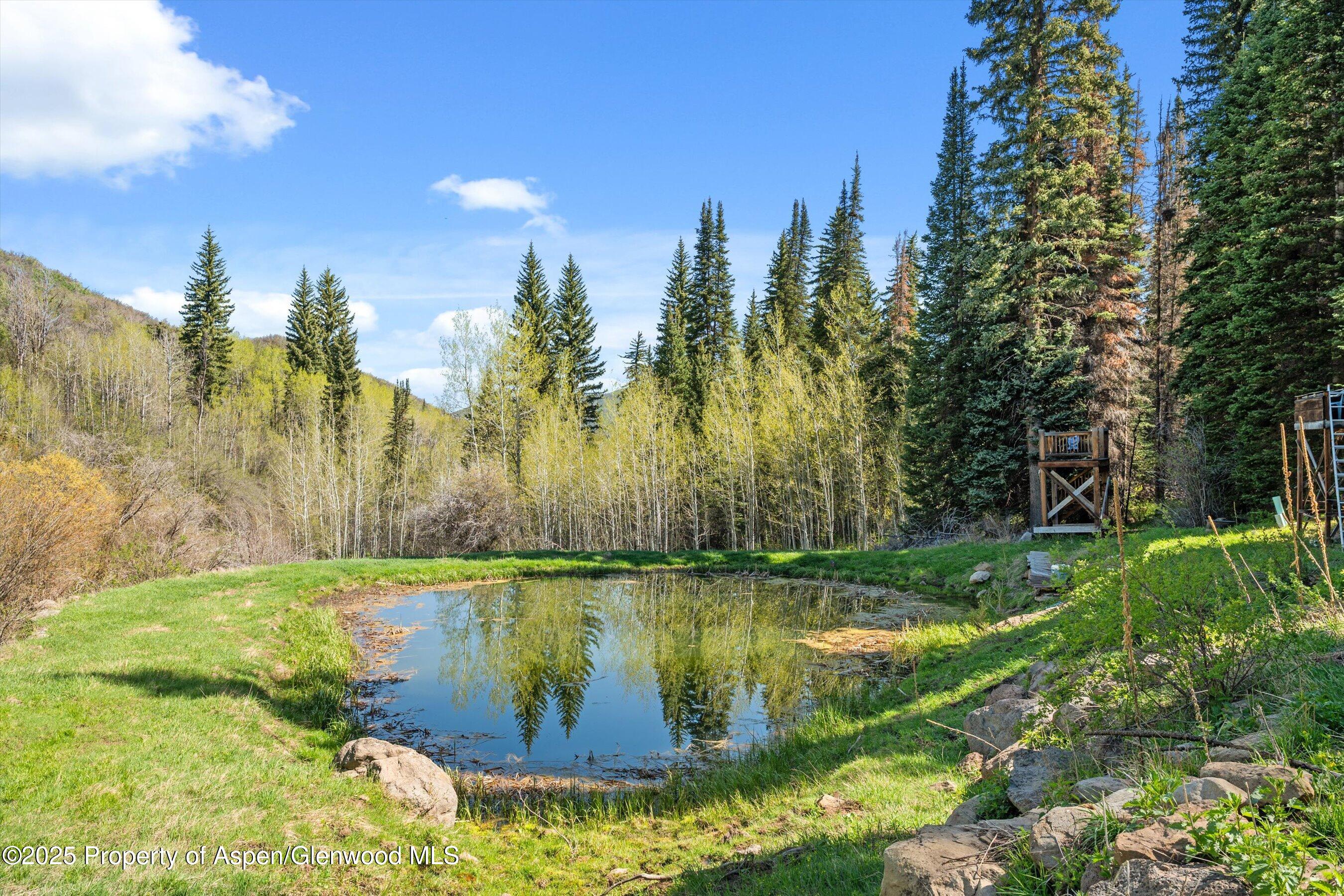0 East Divide Creek Road New Castle, CO 81647 - Photo 15 of 45 31-0EDivideCreekRd_25052201